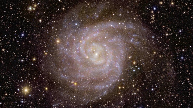 Euclid's view of spiral galaxy IC 342. | Source: ESA