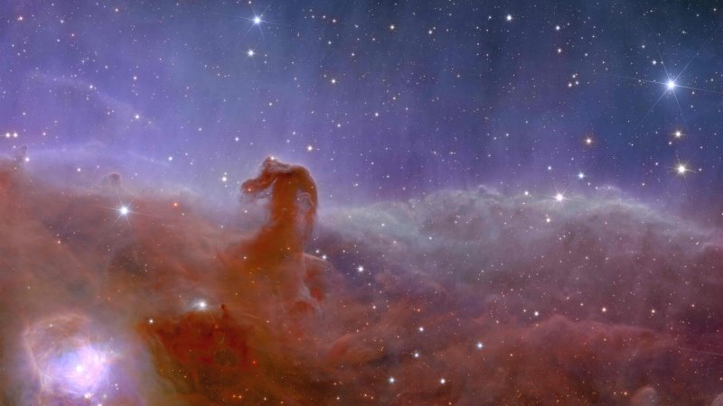 Euclid's view of the Horsehead Nebula. | Source: ESA