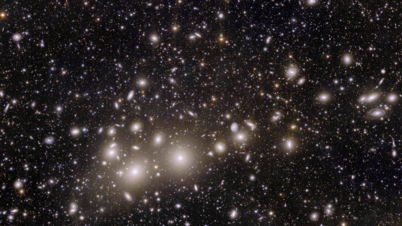 Euclid's view of the Perseus cluster of galaxies. | Source: ESA