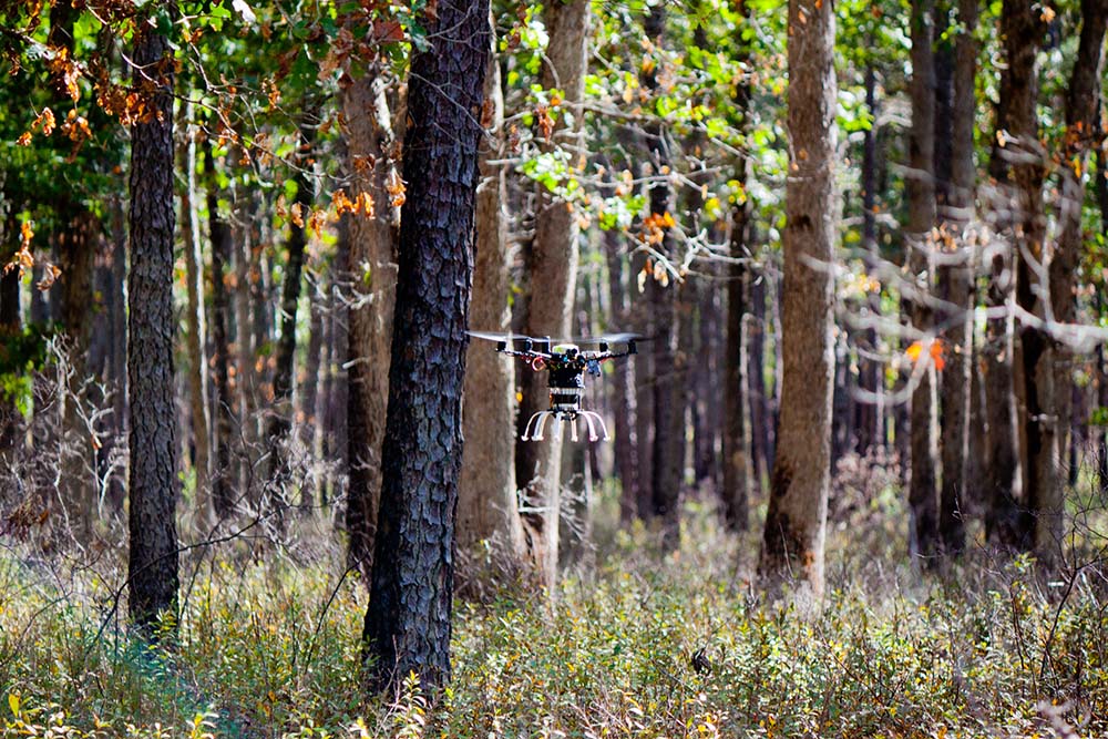 One of Treeswift's drones flying below the canopy line. | Source: Treeswift