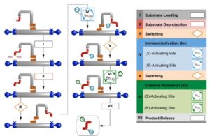 University of Manchester Nanorobotics system