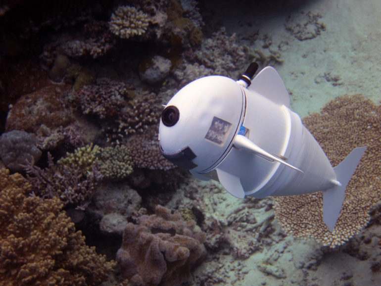 SoFi robot fish