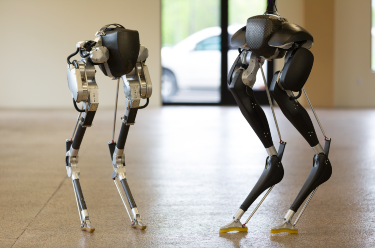 What to Do with a Legged Robot in Academia and Research