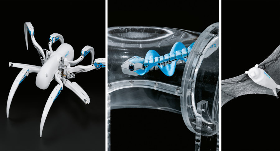 Festo Bionic Learning Network