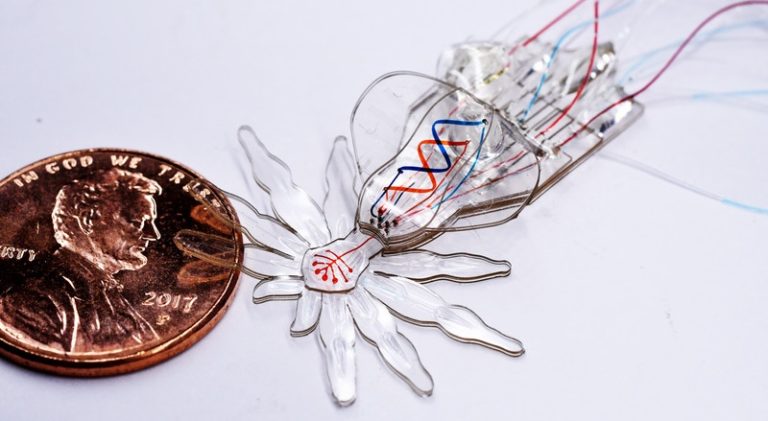 Microscale Robots New Fabrication Process Enables Microscale Soft Robots