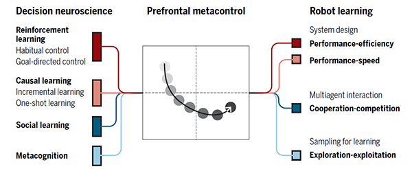 Modeling robotic intelligence on the human brain