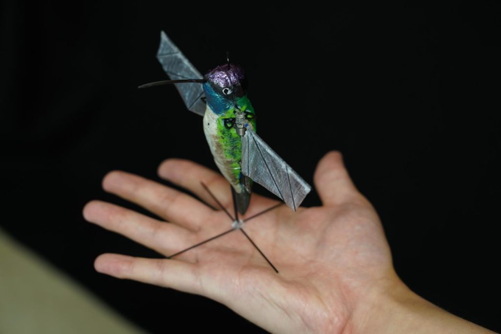 Hummingbird robots use AI to map surroundings without sight