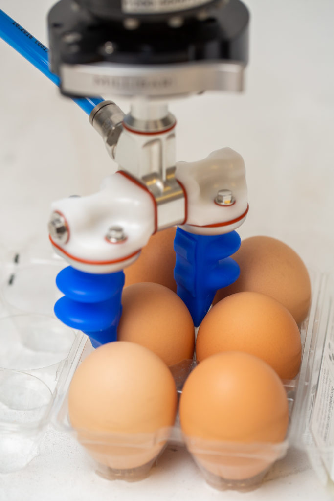 Soft Robotics eggs