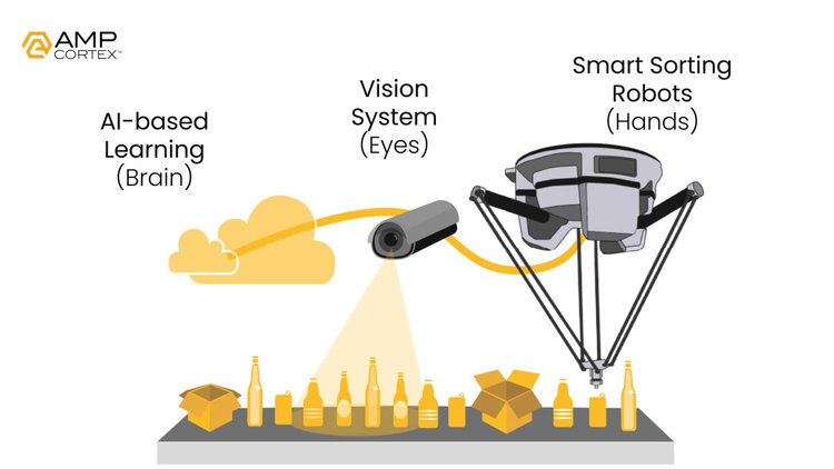 AMP Cortex schematic