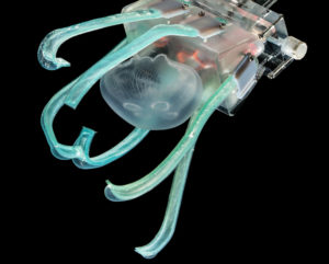 Jellyfish unharmed by new soft robotic underwater gripper