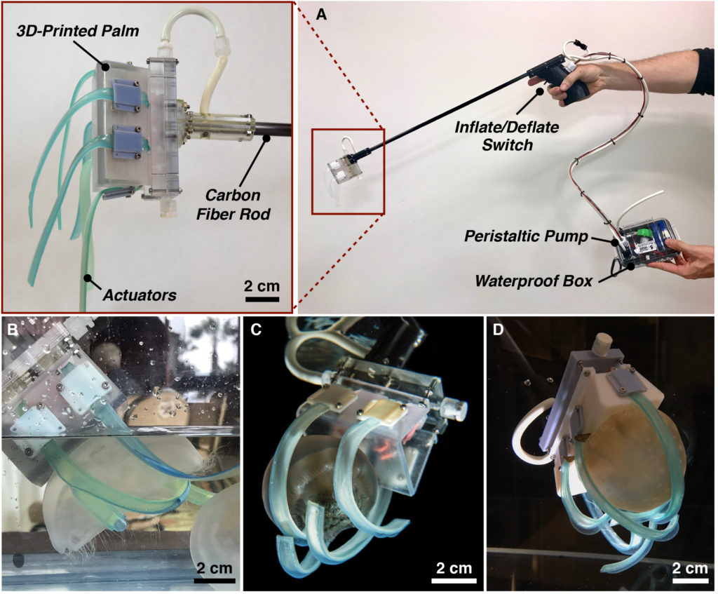 Jellyfish gripper design