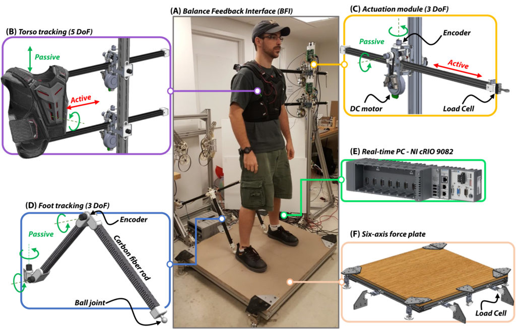 Bipedal robot interface