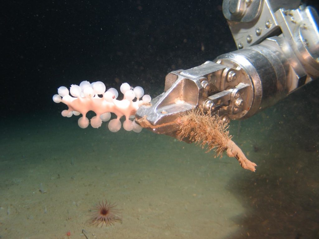 underwater robots arm