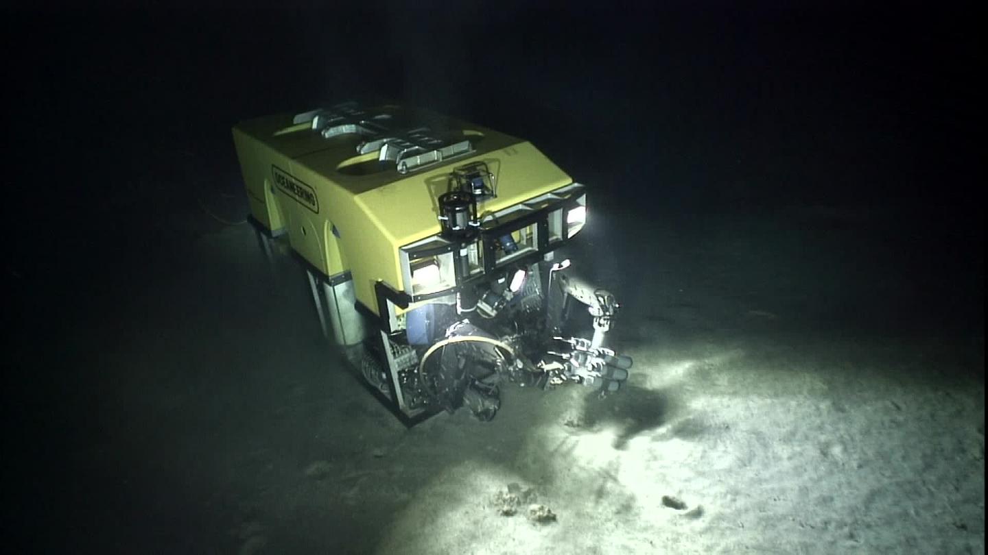 Underwater robots could use sensors to benefit both science, industry