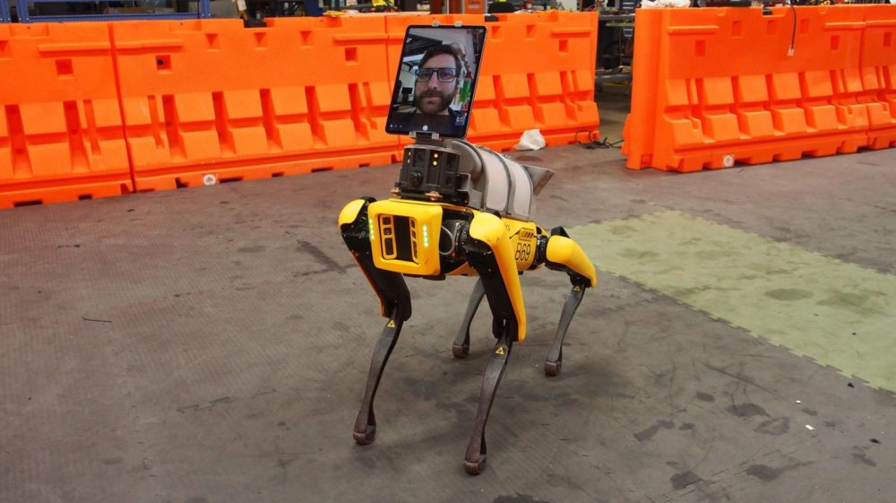 pictures of robot dogs