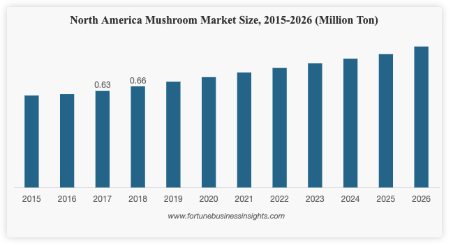 North American mushroom market
