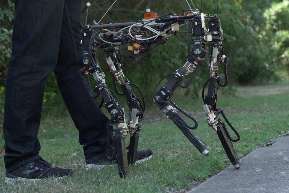 Dyret quadruped