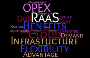 word cloud of RaaS terms