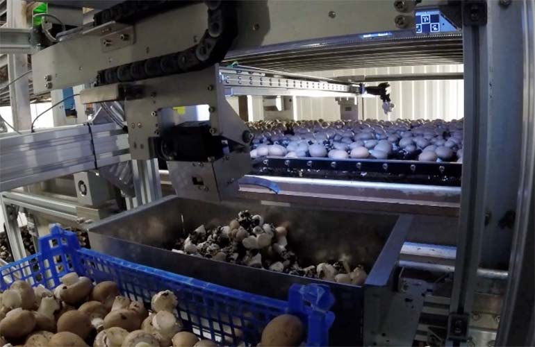 wit bevestigen Bomen planten Next Generation Manufacturing and Mycionics launch mushroom harvesting automation - The Robot Report wit bevestigen Bomen planten Next Generation Manufacturing and Mycionics launch mushroom harvesting automation - The Robot Report
