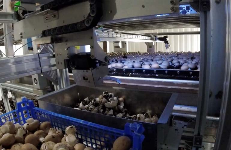 mycionics robotic mushroom harvesting solution