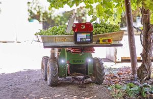 Burro robot carries harvested crops