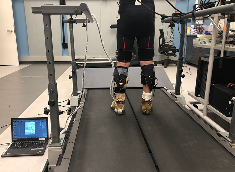 Soft Exosuits for Lower Extremity Mobility