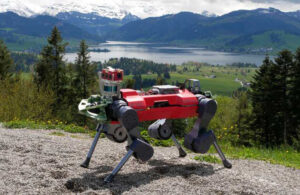 Quadruped learns how to adapt to tough terrain