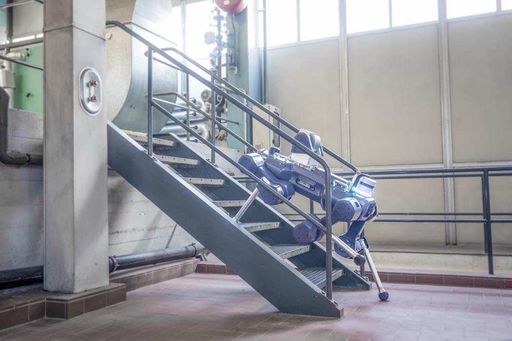 ANYmal robot climbs down stairs in an industrial facility.