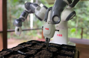 ABB robot planting seeds.