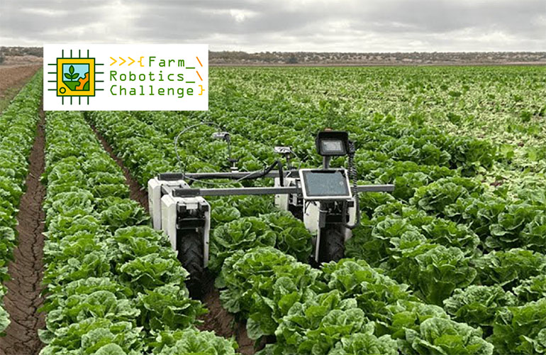 a Farm-ng Amiga agriculture robot maneuvers through a field of leafy greens.