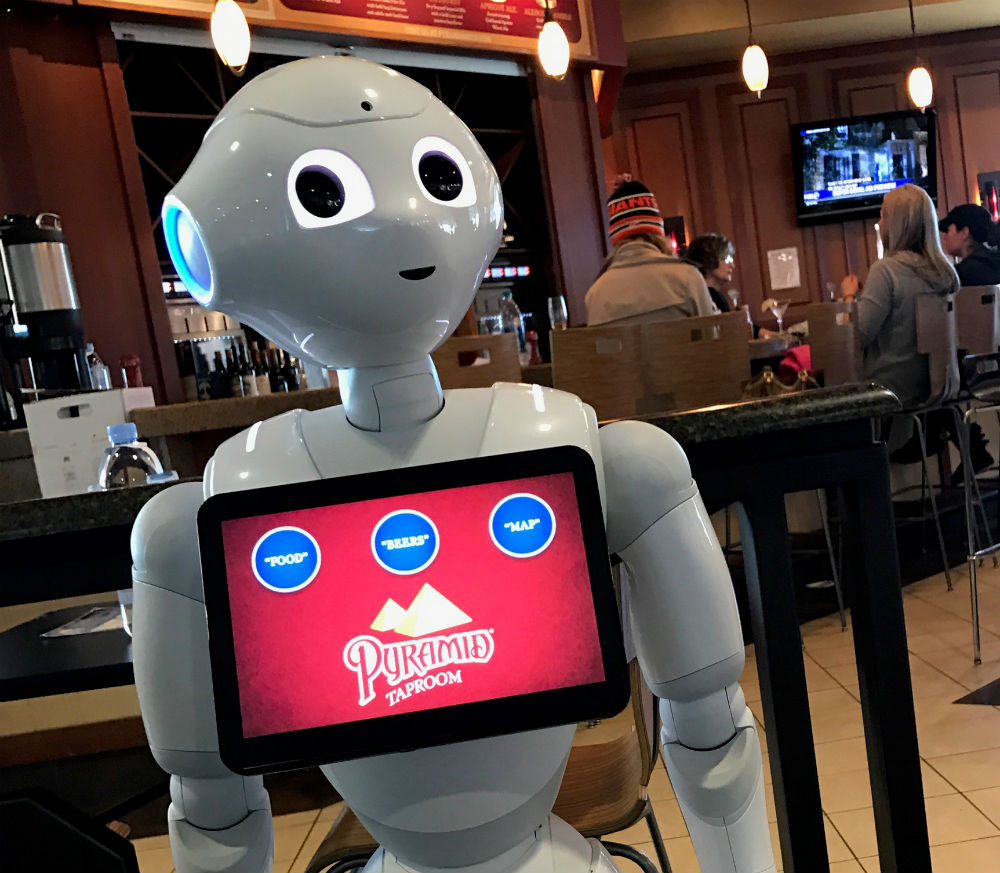 robot ransomware a vulnerability, say researchers