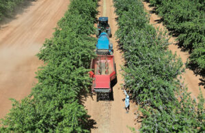 A tractor pulling harvesting equipment between the rows of a field. Topcon Technology is collaborating with Bonsai Robotics.