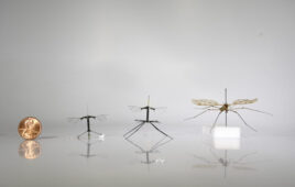 A comparison shot shows the relative size of the current RoboBee platform with a penny, a previous iteration of the RoboBee, and a crane fly.