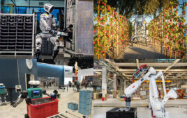 Four images representing the top images of April 2025.