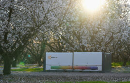The BeeHome 4 surrounded by white flowering trees.