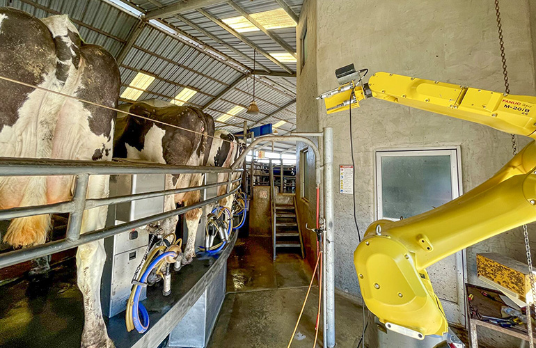 Pharm Robotics advances automated dairy cow healthcare Pharm Robotics advances automated dairy cow healthcare