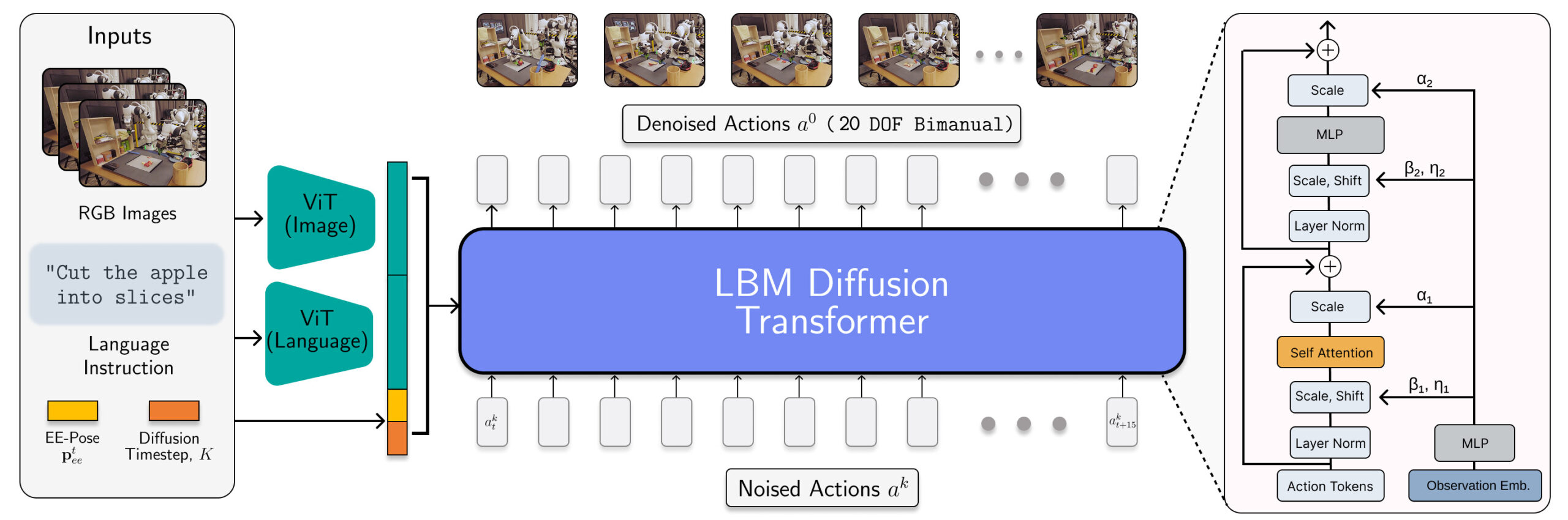 The LBM architecture is instantiated as a diffusion transformer which predicts robot actions.