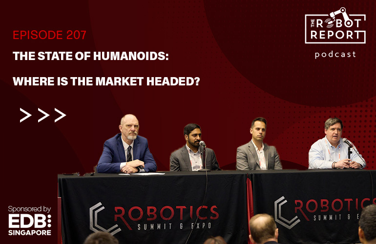 The state of humanoids: Where is the market headed?