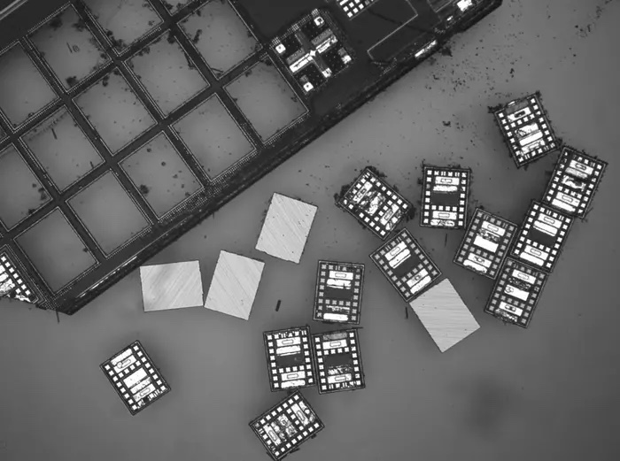 Os estágios finais da fabricação de microrobôs implantam centenas de robôs ao mesmo tempo. As minúsculas máquinas podem então ser programadas individualmente ou em massa para realizar experimentos, dizem pesquisadores da Penn Engineering e da Universidade de Michigan.