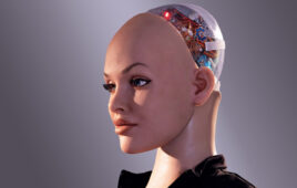 Realbotix has developed humanoid social robots.