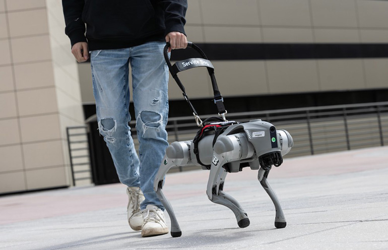 Imagen de la noticia: Investigadores de Binghamton crean perros guía robóticos que caminan y hablan (The Robot Report)