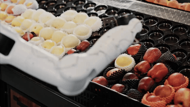 Free-form data collection from teleoperation can ensure comprehensive generalization.