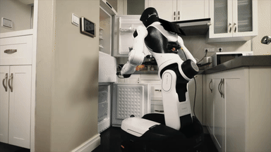 Whole-body control allows for smooth movement of the entire G2 robot.