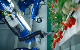 Oishii uses robotics to grow premium strawberries indoors in vertical farms.