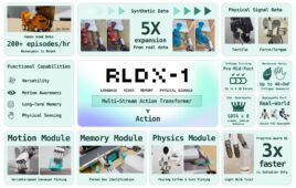 An overview of RLDX-1.