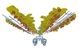 illustration of an indoor robot picking strawberries.
