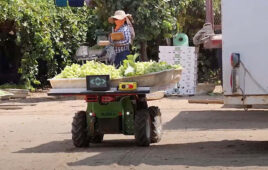 a burro robot carries vegetables after harvest.