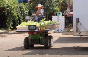 a burro robot carries vegetables after harvest.