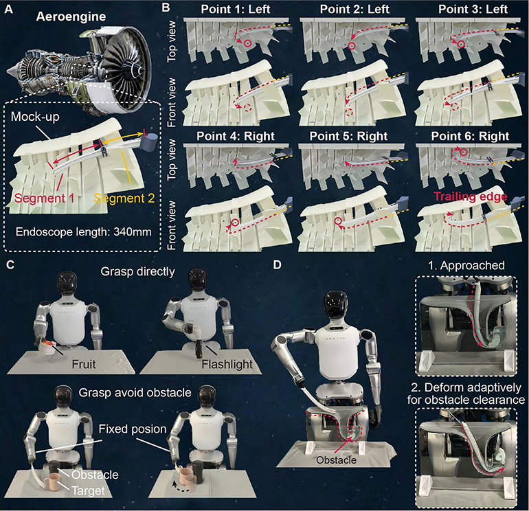 Demonstration of BioflexBot leveraging its tool-hand integration capability. (A) Inspection of an aeroengine blade array performed by the BioflexBot. The 3D-printed mock-up of the engine and the experimental setup. (B) Inspection process of the blade arrays. Notably, the robot's large-curvature distal bending enables successful inspection of the blade's trailing edge (Point 6: right). (C) Experimental demonstration of BioflexBot serving as a humanoid robot's hand for direct grasping and obstacle-avoiding grasping. (D) Clearing obstructions within a narrow channel utilizing the BioflexBot.