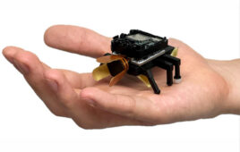 An example of the robot animals that could be useful, Korean researchers have developed a beetle-like soft robot.